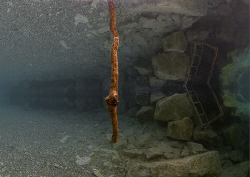 Floating stick - in the shallows at Capernwray.
10.5mm. by Mark Thomas 